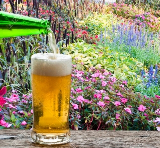 36373417-disfrute-de-la-cerveza-en-el-colorido-jardicc81n-de-flores-.jpg